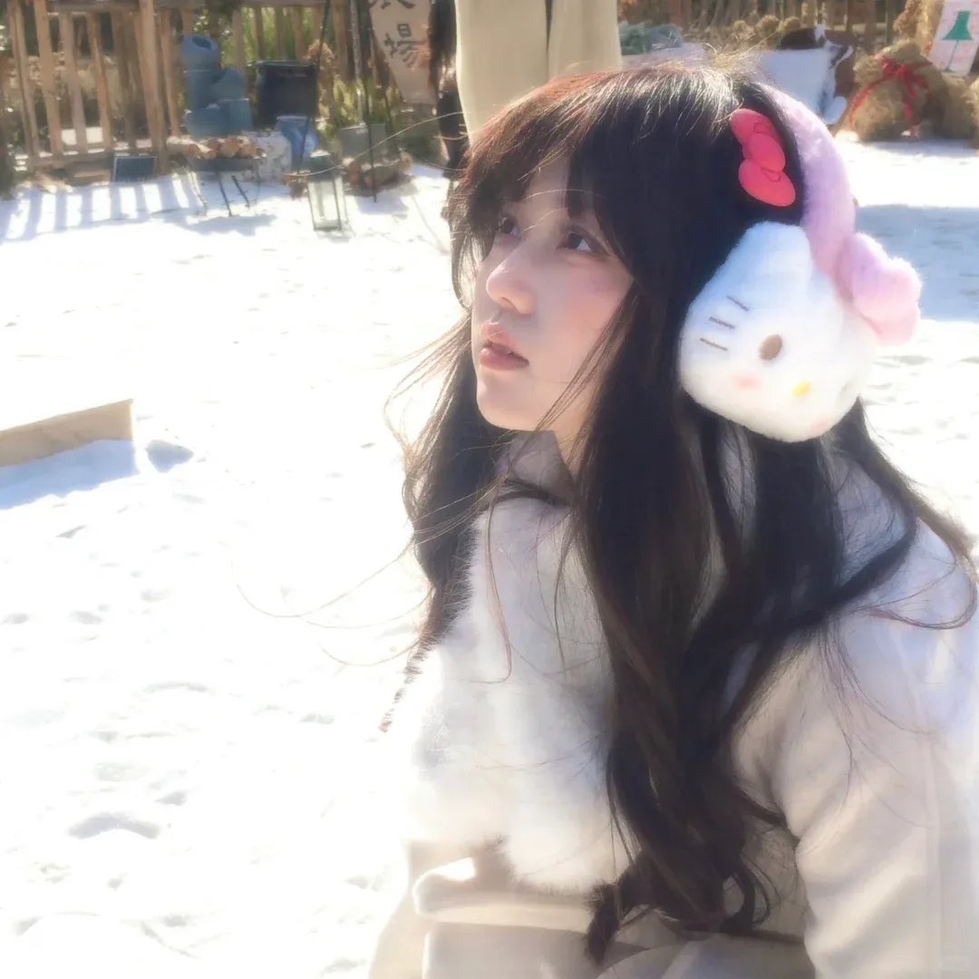 安妮·法兰克的最后七个月
